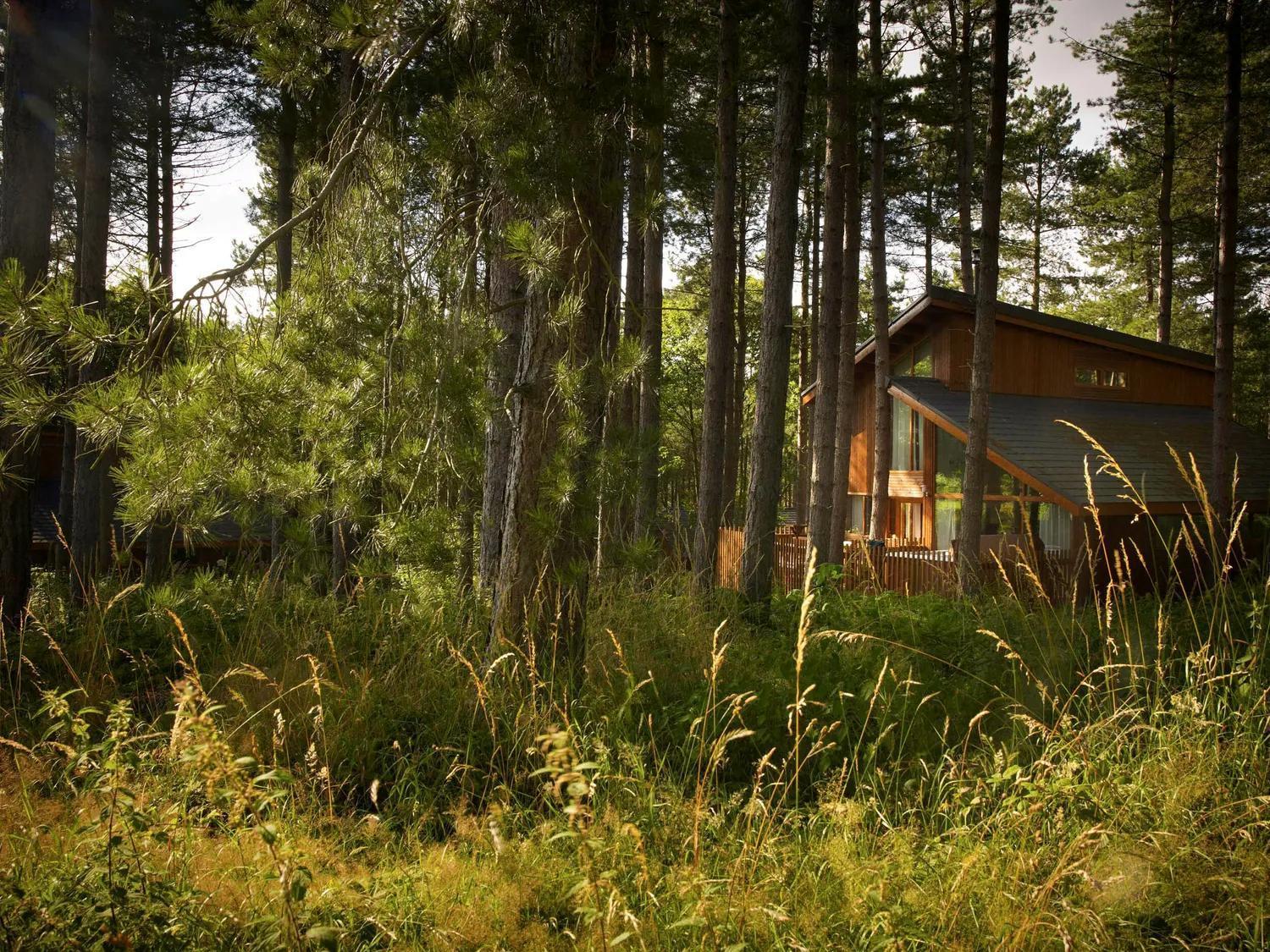 Blackwood Forest Cabins - Forest Holidays Popham Exterior photo