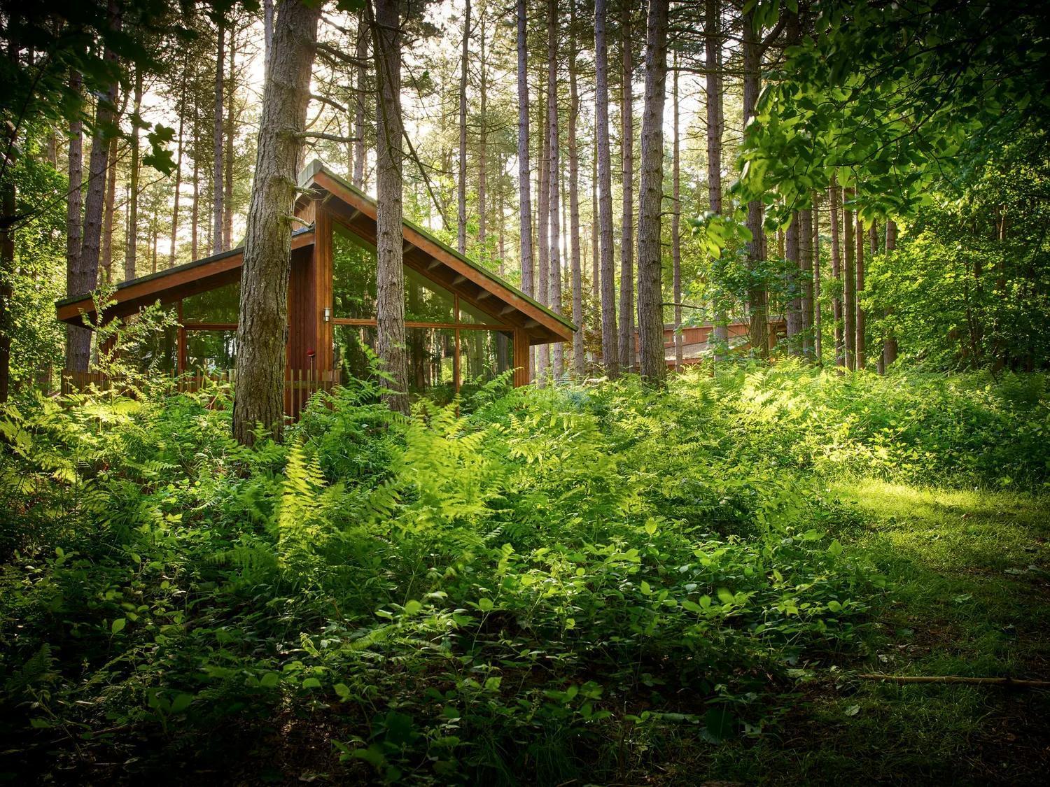 Blackwood Forest Cabins - Forest Holidays Popham Exterior photo