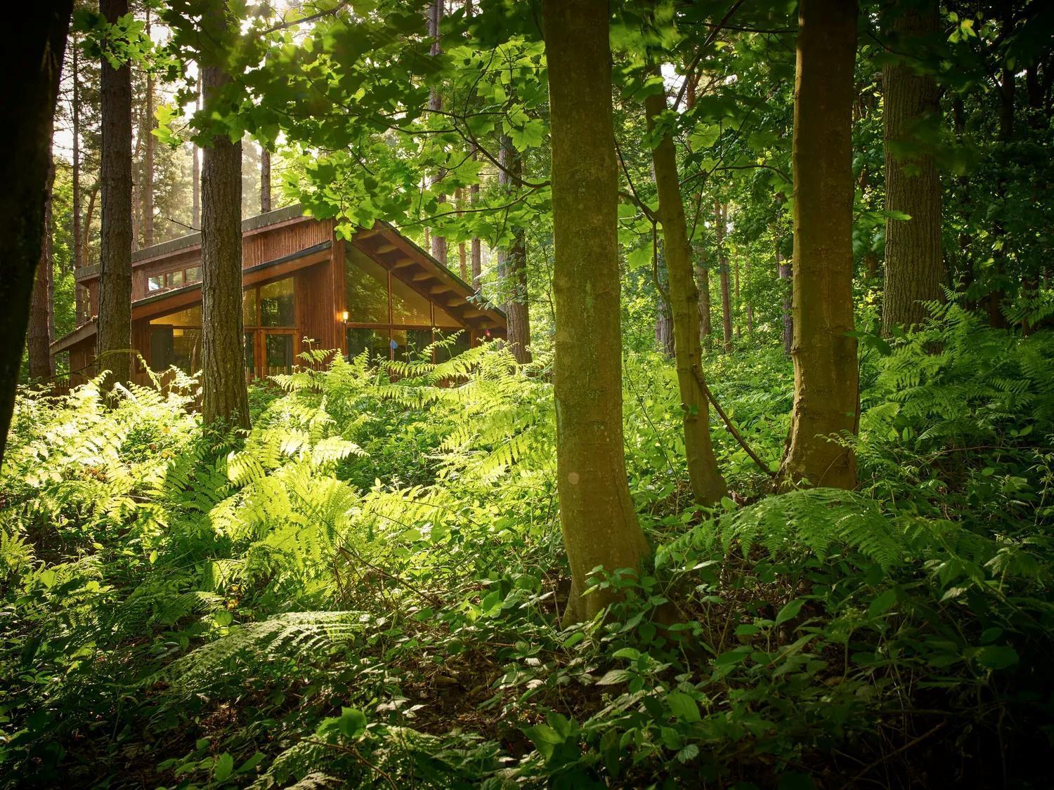 Blackwood Forest Cabins - Forest Holidays Popham Exterior photo